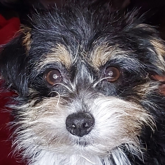 Meet your Posher, Joanne - Picture 1 of 2